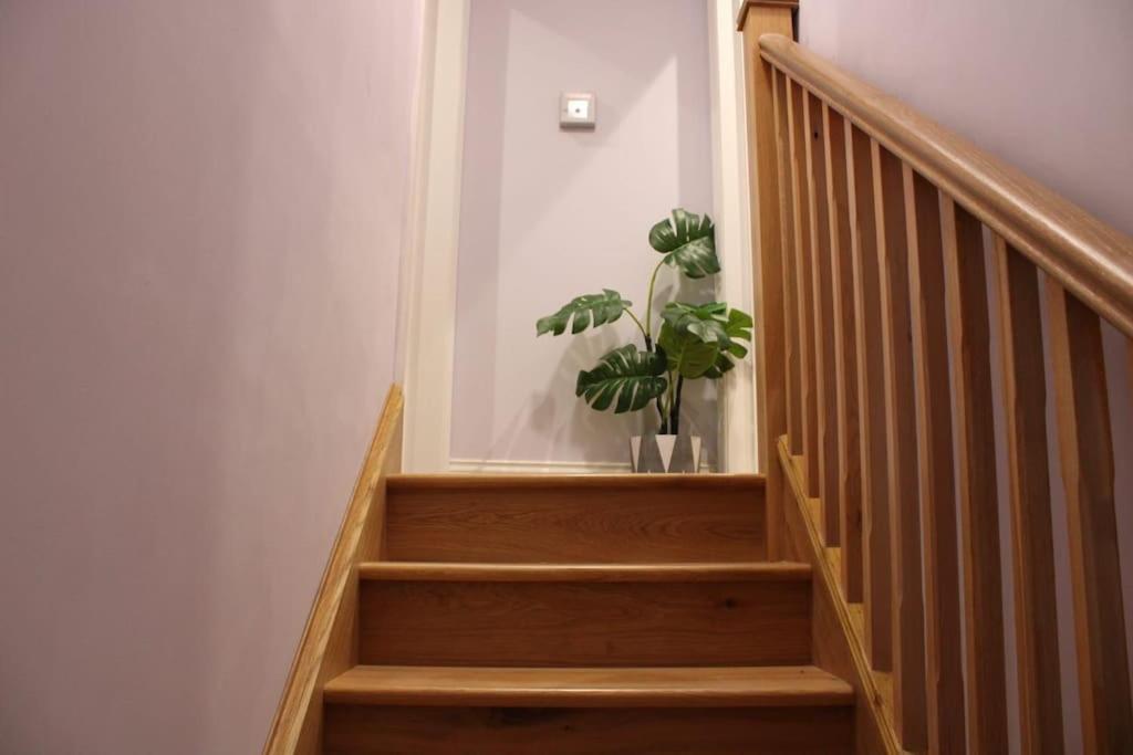 5 Star Apartment London Eksteriør bilde